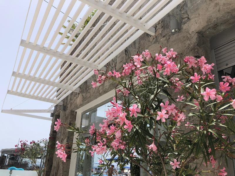 Bahia Blanca Aparthotel Puerto Rico (Gran Canaria)